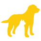 Pet Resources