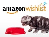 Amazon.com Foster Care Wish List