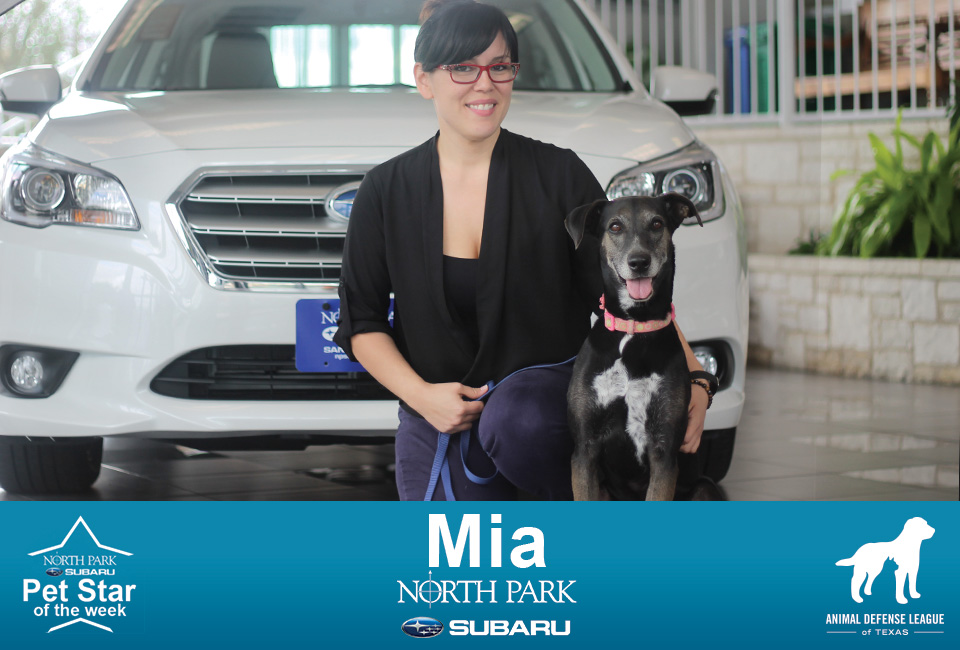 Mia - North Park Subaru Pet Star
