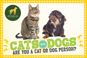 Cats vs. Dogs DipJars at Paul Jolly Center for Pet Adoptions