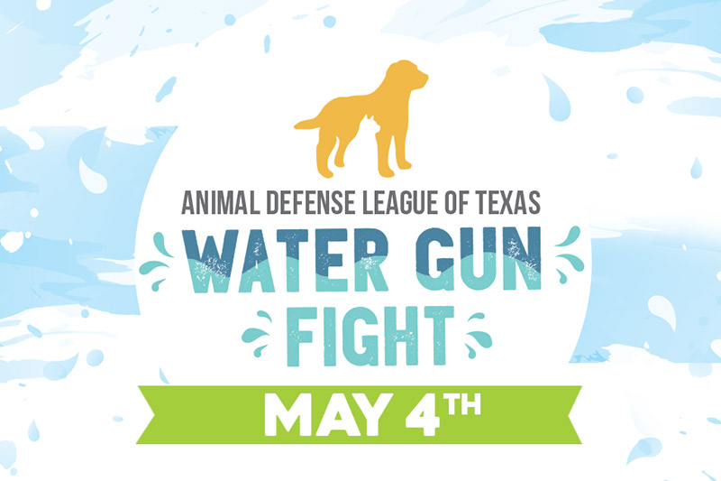 ADL Water Gun Fight 2017 - May 4th at 6:30 pm