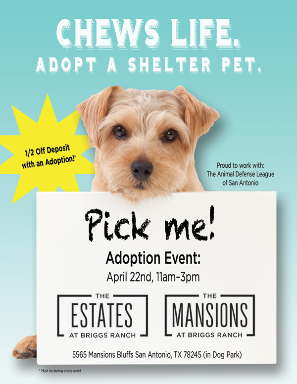 Briggs Ranch Estate Pet Adoption Event