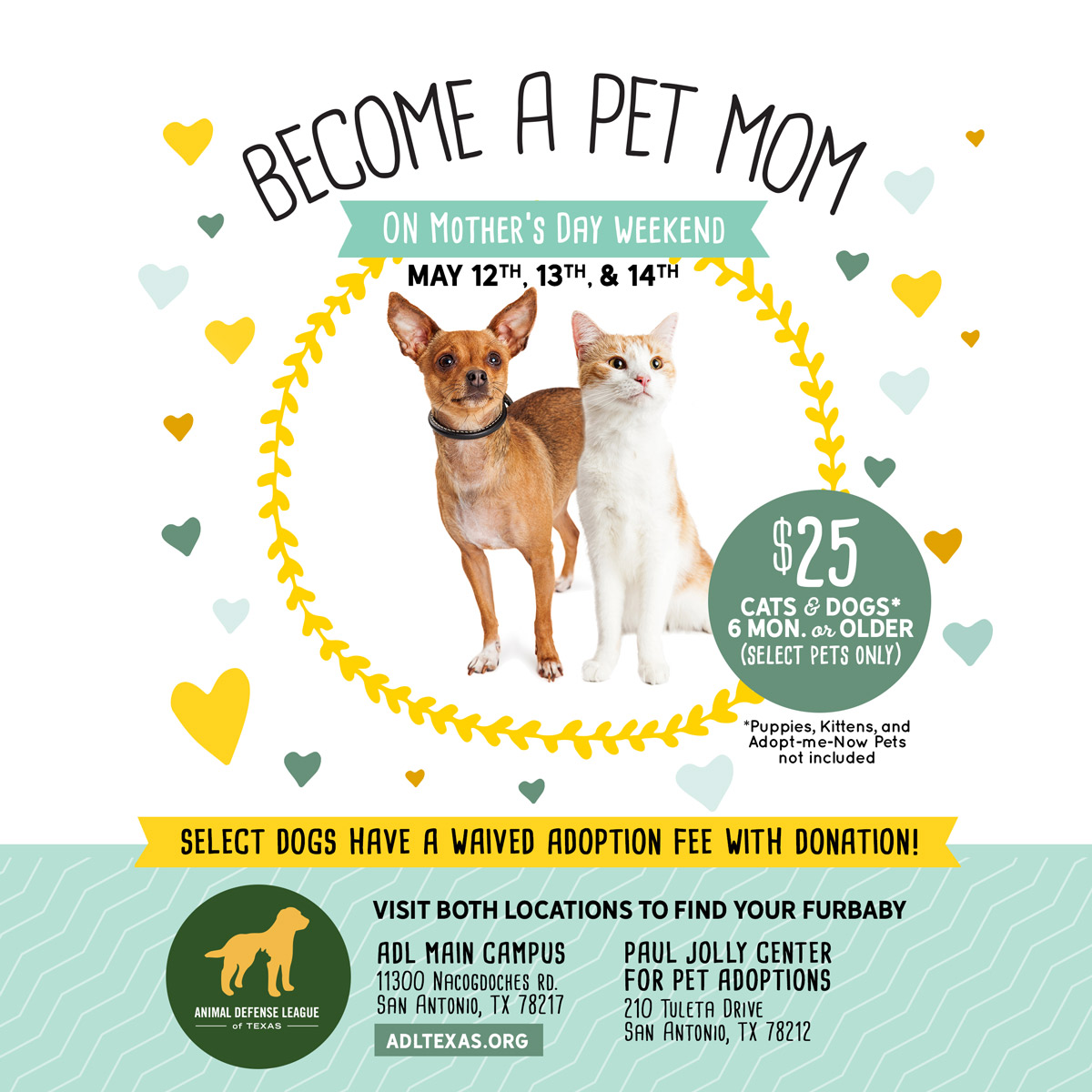 Mother's Day Adoption Event San Antonio TX