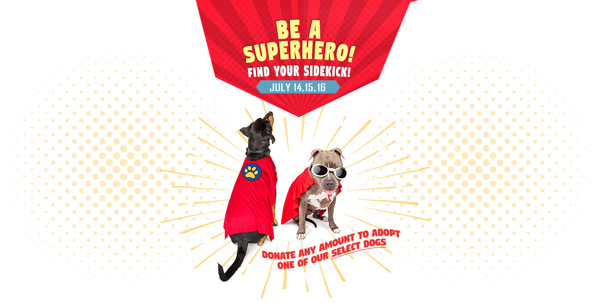 Be a Superhero! Find your sidekick! - Adoption Special