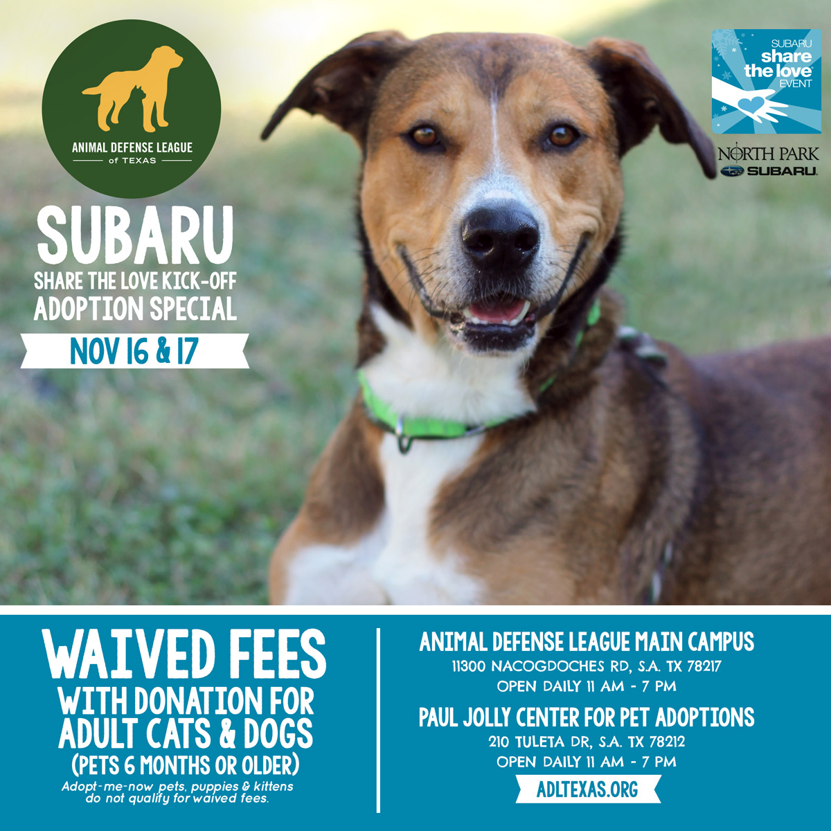 Share The Love Kick-Off Adoption Event - Animal Defense League of Texas ...