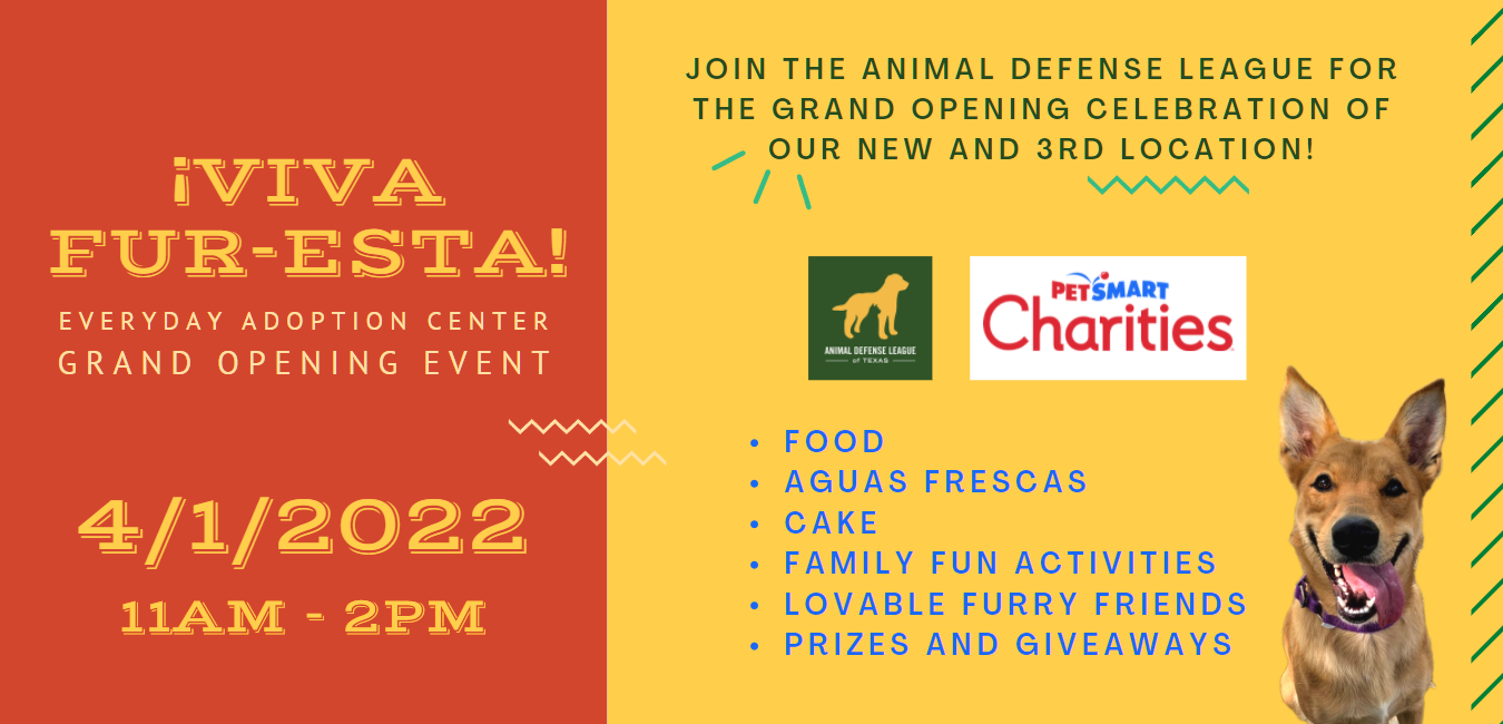 Celebrate EAC Pet Adoption Special, Animal Defense League of Texas - San  Antonio
