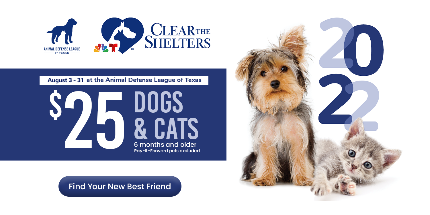Bubbles' Medical Case - Animal Defense League of Texas - San