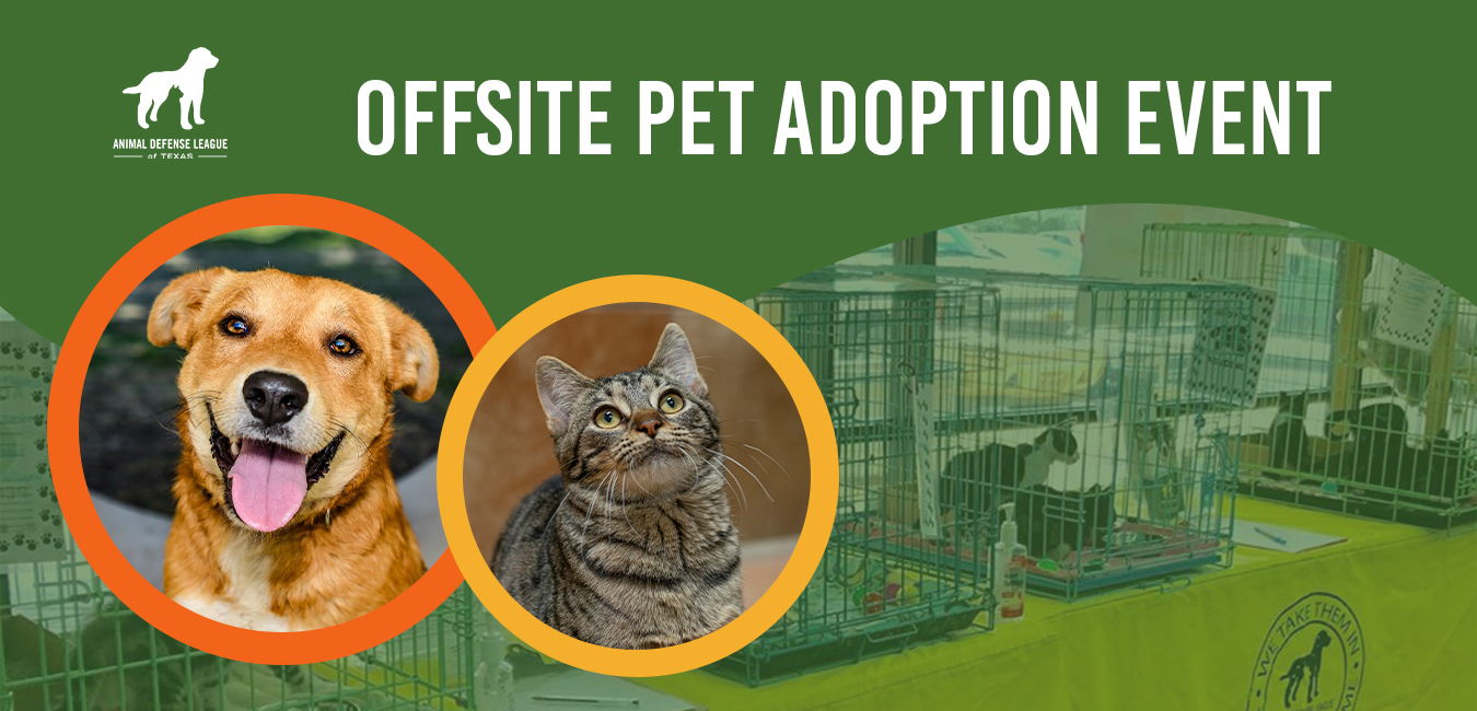 Offsite Pet Adoption Event - Animal Defense League of Texas - San ...