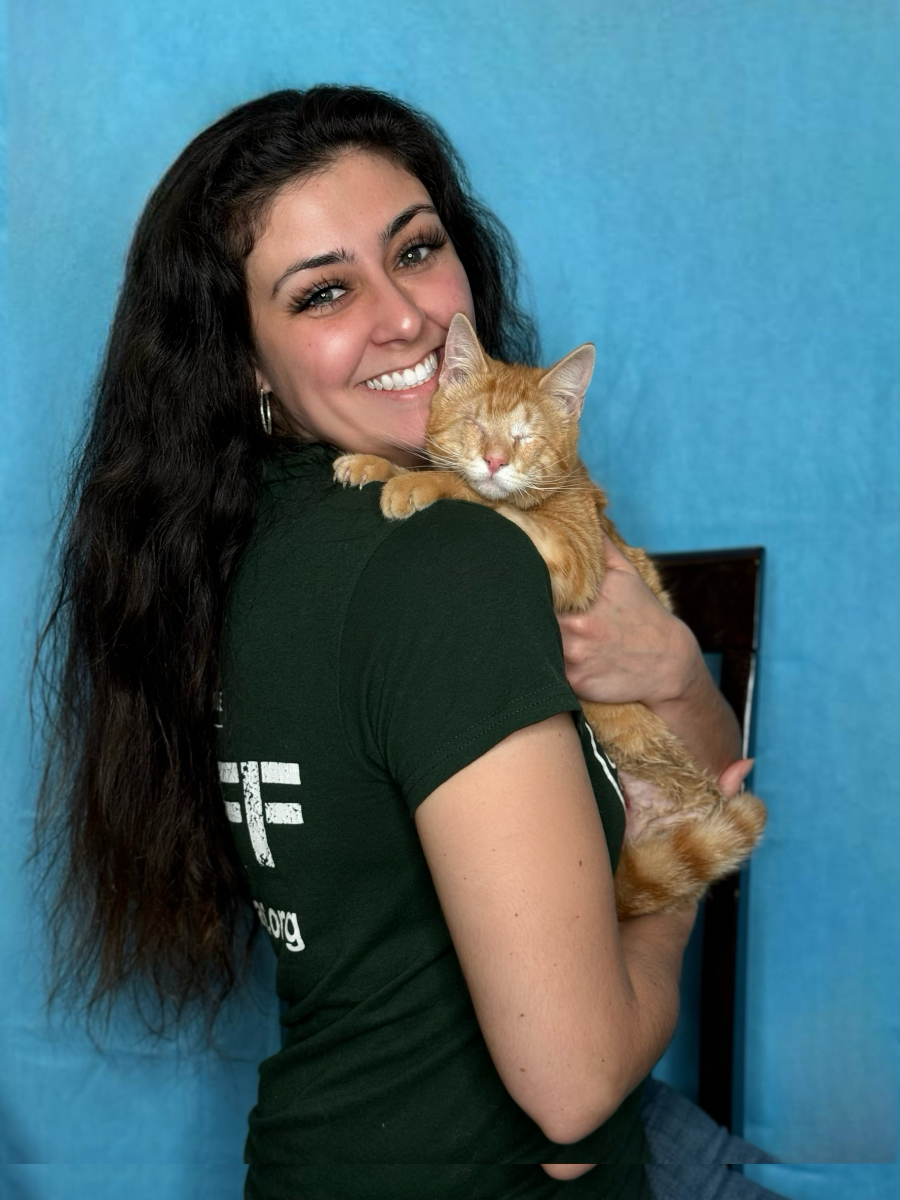 Facetune 06-11-2024-12-46-13