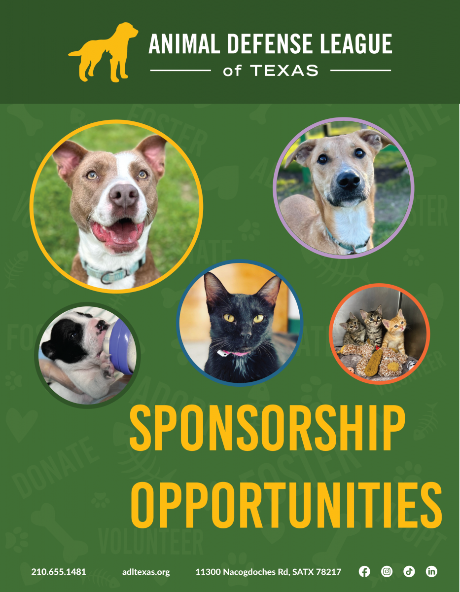 FurBall Sponsor Packet - Animal Defense League of Texas - San Antonio ...