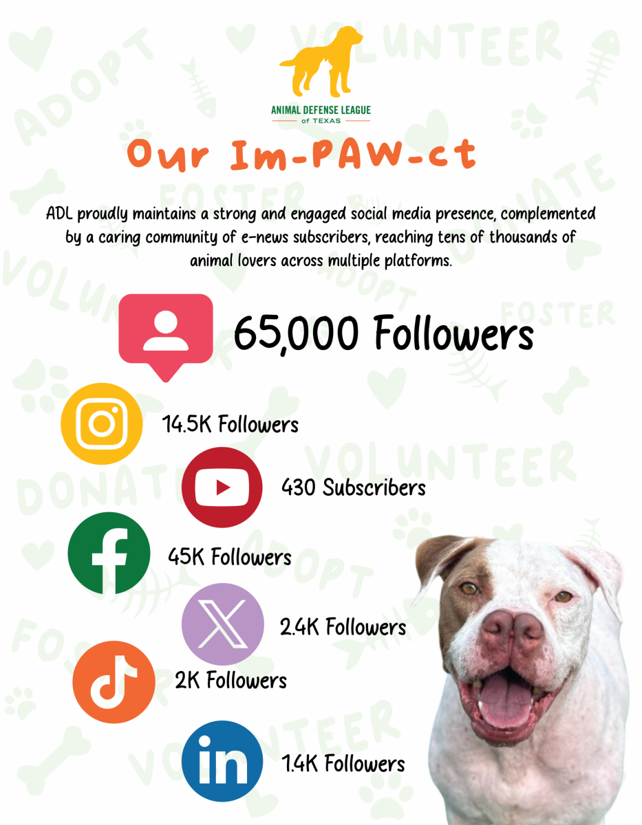 Business Sponsorship Packet-09