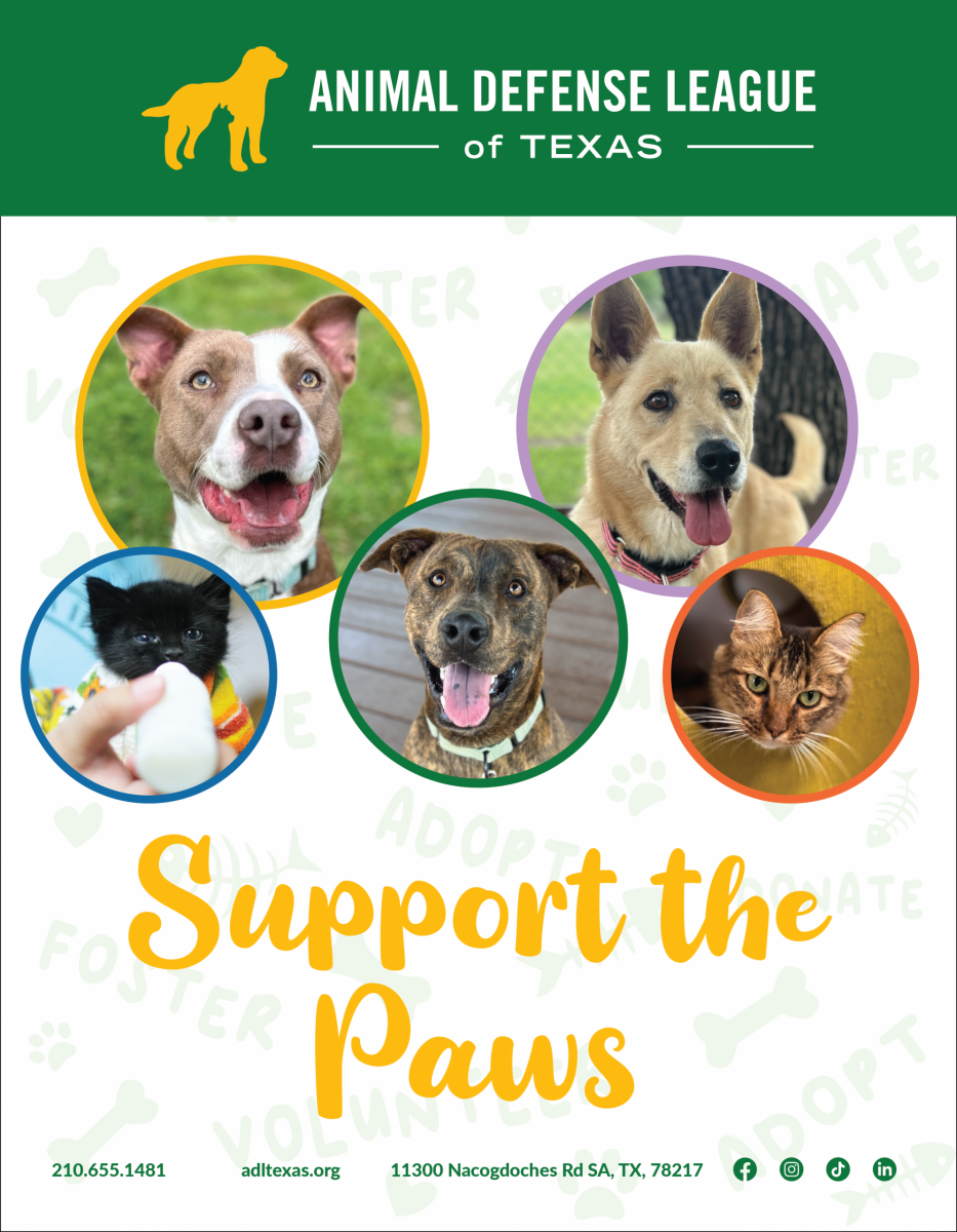 Business Sponsorship Packet_COVER