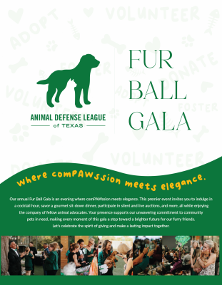 Business Sponsorship Packet_FURBALL